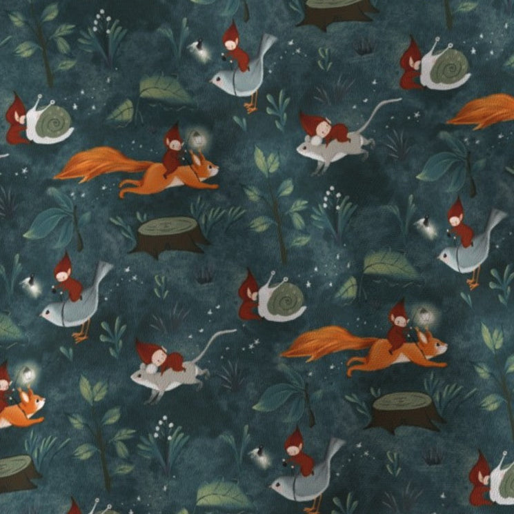 Fantasia Folletti e scoiattoli